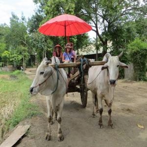 Day 6 – Phnom Penh - Kâmpóng Trâlach