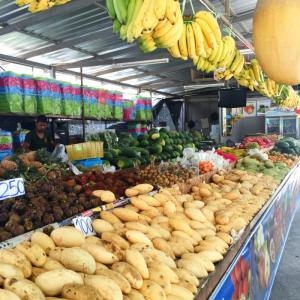 Day 9 – Ho Chi Minh City