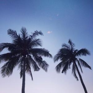 Day 8 – Hoi An - Nha Trang