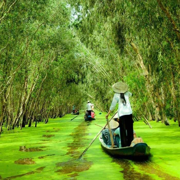 Mekong 3-day Tour with Tra Su Sanctuary, Vietnam Mekong 3-day Tour with Tra Su Cajuput Forest