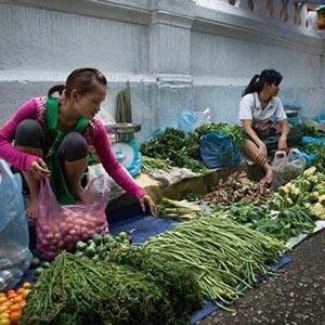 Luang Prabang Cuisine and Culture