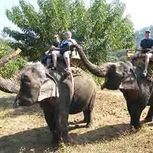 Day 8: Chiang Mai