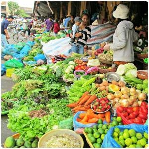 Full Day Excursion in Hoi An Ancient Town, Vietnam