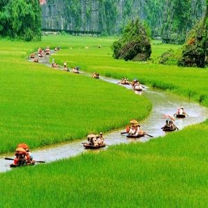 Immerse Yourself In Vietnam