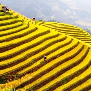 Day 4-5 – Hike Through The Rice Terraces