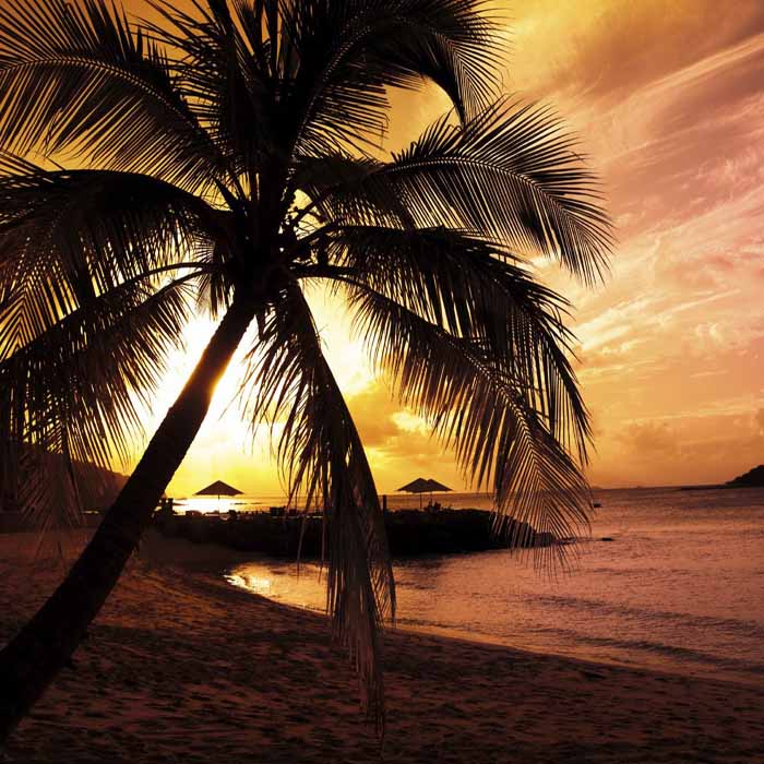 Sunset BBQ and Night Squid Fishing in Phu Quoc
