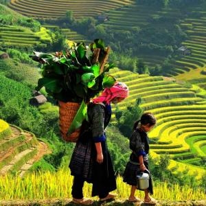 Full Day Excursion in SaPa, Vietnam