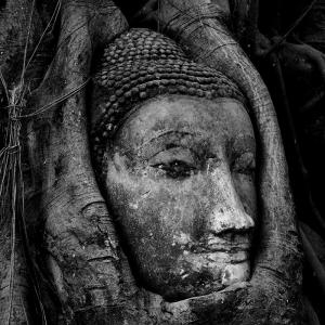 Day 3 – Bangkok - Ayutthaya