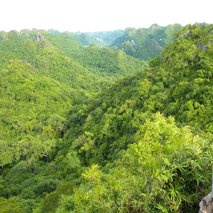 Boat Riding, Biking & Kayaking Day Trip From Cat Ba Island, Vietnam Boat Riding, Biking & Kayaking Day Trip From Cat Ba Island