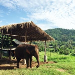 Day 6 – Chiang Mai - Chiang Rai