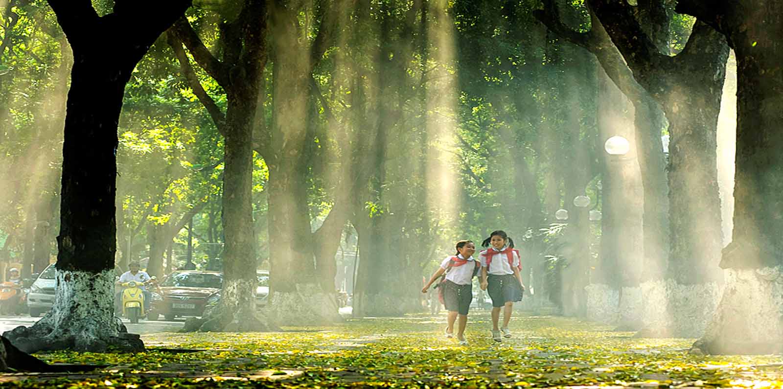 autumn in vietnam, autumn in hanoi, tours in hanoi, haonoi tours, northwest vietnam tours, autumn in vietnam, hanoi, northern part of vietnam, northwest of vietnam, vietnam culture, cultural tours in vietnam, egg coffee, cafe trung, bia hoi in hanoi, What differences could be found in the autumn of Vietnam?