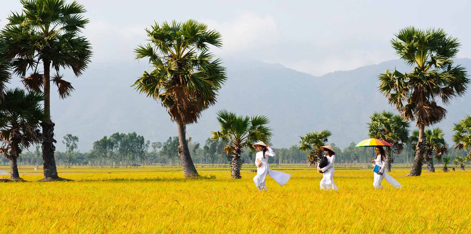 vietnam visa, europe, vietnam, travel, tourism, foreign tourists, visa exemption for vietnam Vietnam extends visa exemption for Europeans for another three years since 2018
