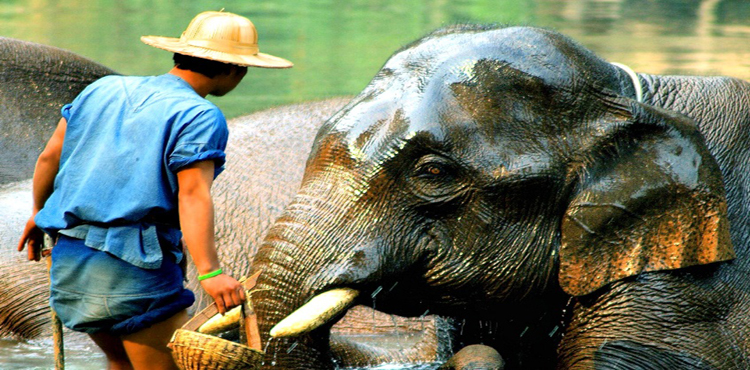 14699047067545_thailand--kanchanaburi-1-copy.jpg