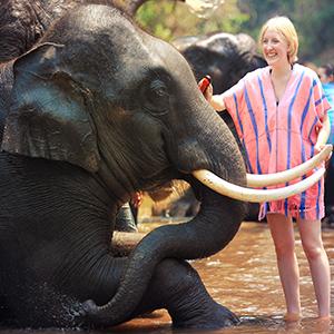 14659798662176_Slider--Patara-Elephant-Farm-Chaing-Mai.jpg