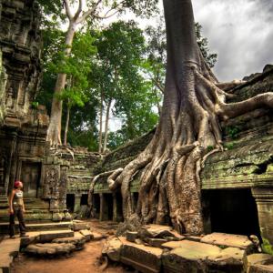 14661547469616_eco-Banteay-1day-3day-2nights-700-700.jpg