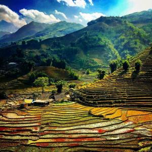 14664088249550_sapa-3.jpg