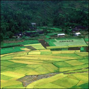 14664088491309_sapa--hagiang-2.jpg